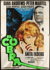 9f045 COBRA style B Italian 2p '67 Dana Andrews, Peter Martell, art of sexy Anita Ekberg!