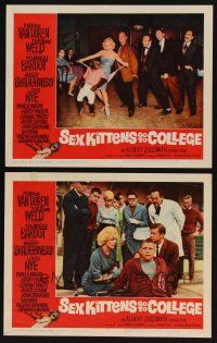 9g956 SEX KITTENS GO TO COLLEGE 2 LCs '60 Martin Milner, images of sexy Mamie Van Doren!