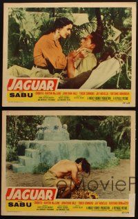 9g622 JAGUAR 5 LCs '55 Barton MacLane with sexy Chiquita, Sabu in jungle!