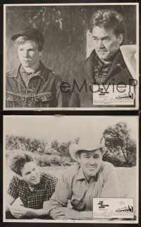 9g768 LAST PICTURE SHOW 3 LCs '71 Peter Bogdanovich directed, Ben Johnson, Tim Bottoms!