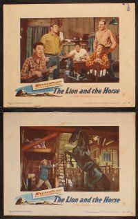 9g512 LION & THE HORSE 7 LCs '52 images of Steve Cochran & Wildfire in the title role!