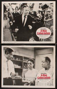 9g242 MAN CALLED ADAM 8 LCs '66 great images of Sammy Davis Jr. + Louis Armstrong playing trumpet!