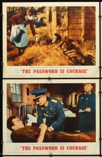 9g302 PASSWORD IS COURAGE 8 LCs '63 Dirk Bogarde in an English version of The Great Escape!