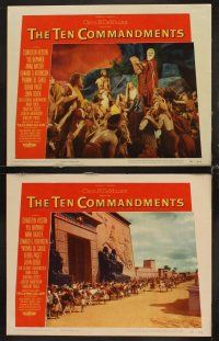 9g391 TEN COMMANDMENTS 8 LCs '56 Cecil B. DeMille classic starring Charlton Heston & Yul Brynner!
