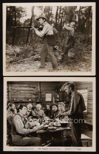 9y999 YEARLING 2 8x10 stills '46 Gregory Peck hunting with Claude Jarman Jr, Forrest Tucker
