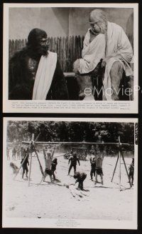 9y812 BENEATH THE PLANET OF THE APES 3 8x10 stills '70 Maurice Evans & apes in costume!