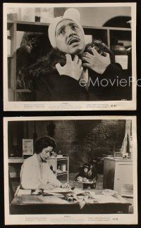 9y868 KONGA 3 8x10 stills '61 great images with giant angry ape, man-eating plant & chimp!