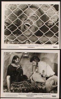 9y497 PROPHECY 12 8x10 stills '79 John Frankenheimer, Talia Shire, Robert Foxworth!
