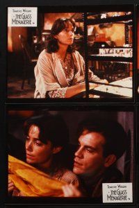 9y132 GLASS MENAGERIE 9 color 8x10 stills '87 Paul Newman's movie based on Tennessee Williams' play