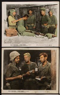 9y100 HALLS OF MONTEZUMA 15 color 8x10 stills '51 Richard Widmark, Jack Palance, Robert Wagner, WWII