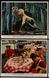 9y104 HAPPENING 12 color 8x10 stills '67 Anthony Quinn, 1st Faye Dunaway, George Maharis!