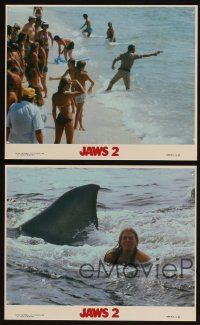 9y395 JAWS 2 4 color 8x10 stills '78 Roy Scheider, cool shark attack images!