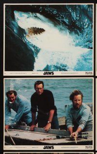 9y355 JAWS 7 8x10 mini LCs '75 Roy Scheider, Robert Shaw & Richard Dreyfuss fight to destroy shark!