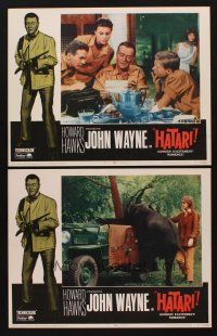 1f934 HATARI 2 LCs R67 Howard Hawks, Red Buttons, John Wayne in Africa!