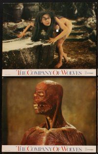 1f003 COMPANY OF WOLVES 12 English LCs '84 Neil Jordan, Sarah Patterson, wild werewolf images!