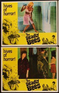 1f157 DEADLY BEES 8 LCs '67 hives of horror, fatal stings, image of sexy near-naked girl attacked!