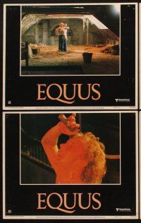 1f190 EQUUS 8 LCs '77 Richard Burton, Jenny Agutter, Peter Firth, Sidney Lumet