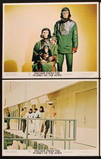 1f191 ESCAPE FROM THE PLANET OF THE APES 8 LCs '71 Roddy McDowall, Kim Hunter, great sci-fi images!