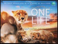 1h159 ONE LIFE British quad '11 narrated by Daniel Craig, wonderful image of wild cats!