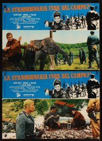 Italian Movie Download La Straordinaria Fuga Dal Campo 7A