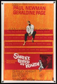 1r864 SWEET BIRD OF YOUTH 1sh '62 Paul Newman, Geraldine Page, from Tennessee Williams' play!