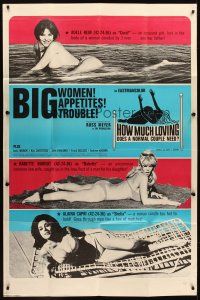 1t022 COMMON LAW CABIN 40x60 '67 Russ Meyer, How Much Loving Does a Normal Couple Need!