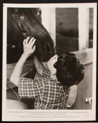 1w255 BLACK STALLION 13 8x10 stills '79 great images of Kelly Reno & horse, Carroll Ballard!