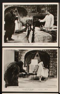 1w324 BRIDE & THE BEAST 8 8x10 stills '58 Ed Wood, Lance Fuller & Charlotte Austin!