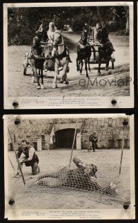1w748 FUNNY THING HAPPENED ON THE WAY TO THE FORUM 3 8x10 stills '66 Zero Mostel in action!