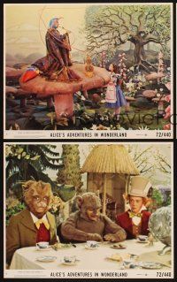1w173 ALICE'S ADVENTURES IN WONDERLAND 3 8x10 mini LCs '74 cool images of characters!