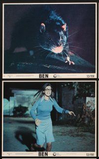 1w049 BEN 8 8x10 mini LCs '72 Willard 2, great images of Meredith Baxter & lots of rats!