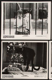 1x766 CAT PEOPLE presskit w/ 14 stills '82 sexy Nastassja Kinski, something less than human!