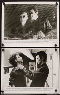 1x836 HUNGER presskit w/ 6 stills '83 vampire Catherine Deneuve, David Bowie & Susan Sarandon!
