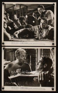 2e706 COOL HAND LUKE 2 8x10 stills '67 classic scene Paul Newman poker & getting his nickname!