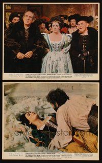 2e248 TAMING OF THE SHREW 2 color 8x10 stills '67 Elizabeth Taylor does Shakespeare, Zeffirelli