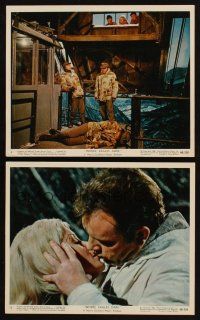 2e252 WHERE EAGLES DARE 2 color 8x10 stills '68 Clint Eastwood, Richard Burton, Mary Ure, WWII!