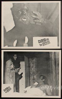 2e618 CURSE OF THE DEVIL 4 8x10 stills '73 retorno de Walpurgis, great werewolf close up!