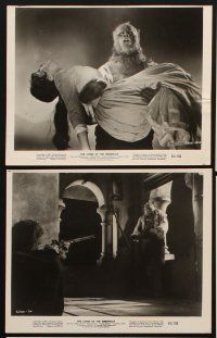 2e282 CURSE OF THE WEREWOLF 14 8x10 stills '61 Hammer horror, Oliver Reed as wolfman & as himself!