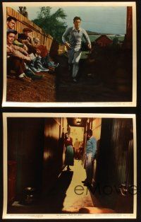 2e223 EAST OF EDEN 4 color 8x10 stills '55 James Dean learns the truth about his mother in brothel!