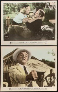 2e218 LION IS IN THE STREETS 5 color 8x10 stills '53 James Cagney, Anne Francis, Raoul Walsh
