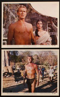 2e126 TARZAN GOES TO INDIA 12 color 8x10 stills '62 Jock Mahoney as the King of the Jungle!