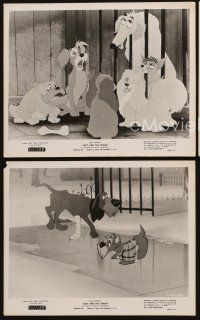 2m648 LADY & THE TRAMP 3 8x10 stills R62 Walt Disney romantic canine dog classic cartoon!