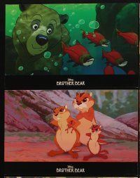 2m095 BROTHER BEAR 12 9.5x15 LCs '03 Disney Pacific Northwest animal cartoon!
