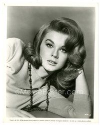 2s092 ANN-MARGRET 8x10 still '64 sexy portrait of the Swedish star from Kitten with a Whip!