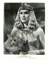 3c093 BELLA DARVI 8x10 still '54 c/u in sexy Cleopatra-like costume with cat from The Egyptian!
