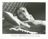 3c188 COOL HAND LUKE 8x10 still '67 classic close up of shirtless Paul Newman in his bunk!