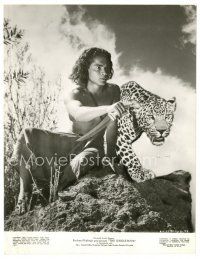 3c499 JUNGLE BOOK 7.5x9.75 still '42 wonderful image of Sabu with knife & leopard!
