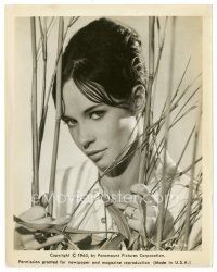 3c600 MARIANNE BENET 8x10 still '60 close up of the beautiful Spanish actress behind bamboo!