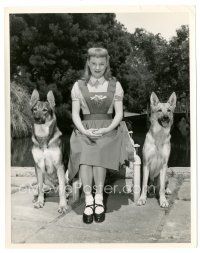 3c913 TOO YOUNG TO KISS candid 8x10 still '51 June Allyson & 2 trained German Shepherd police dogs!