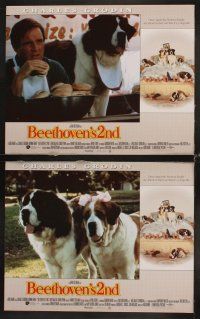 3h072 BEETHOVEN'S 2ND 8 LCs '93 Charles Grodin, the Newton family is going to the dogs!